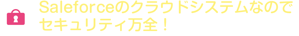 Salesforceのクラウドシステムなのでセキュリティ万全！